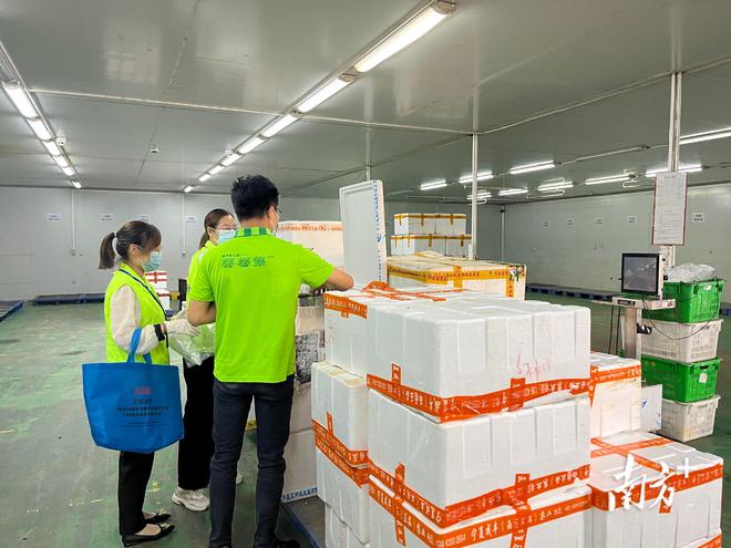 凌晨出击，守护舌尖安全 全省2165家农贸市场全面启动食用农产品快速检测