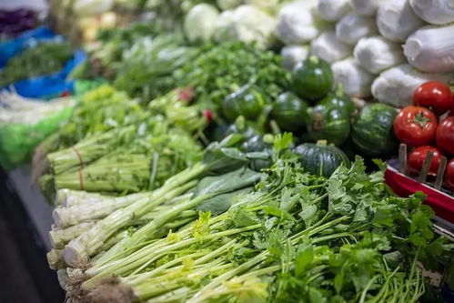 关于全面禁用食用农产品的重要通知