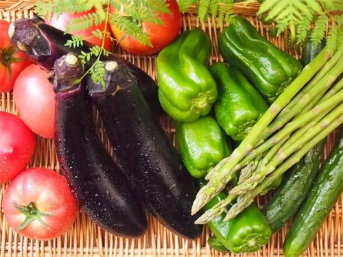 普洱市食用农产品公司优秀企业推荐 绿海明珠的品质与担当