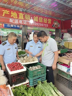 筑牢安全防线，守护舌尖健康——区市场监管局全面开展市场销售蘑菇风险排查专项行动